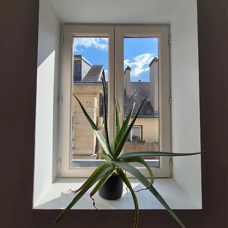 Apartment Au Coeur De Pour 10 Personnes *